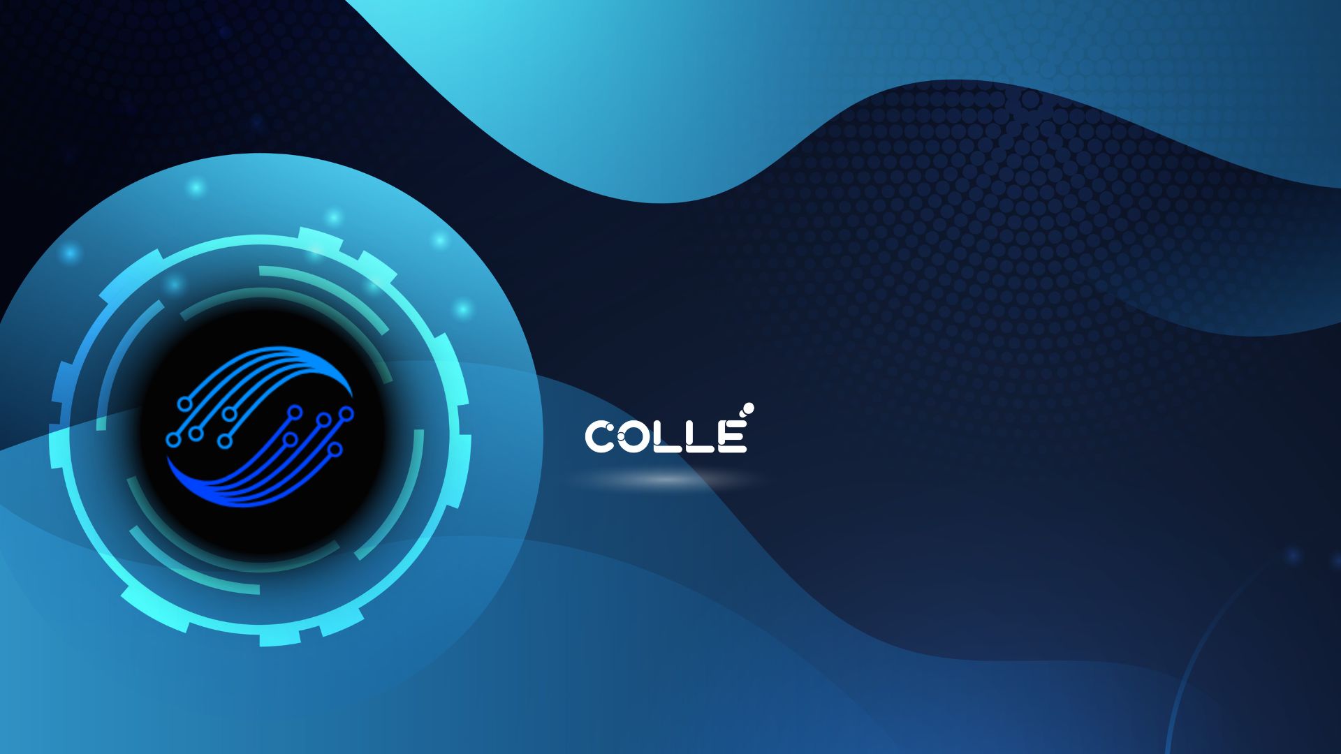 BlackRock’s Ethereum BUIDL Fund Includes NFT AI Platform Colle AI (COLLE)