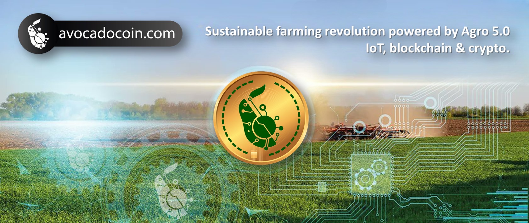 AvocadoCoin: The Ultimate Fusion of Blockchain and Sustainable Agriculture